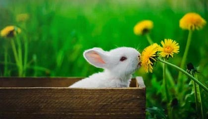 湖州高价社保卡有效期查询方式的最新政策(2025年湖州高价社保卡有效期查询方式是什么分享)